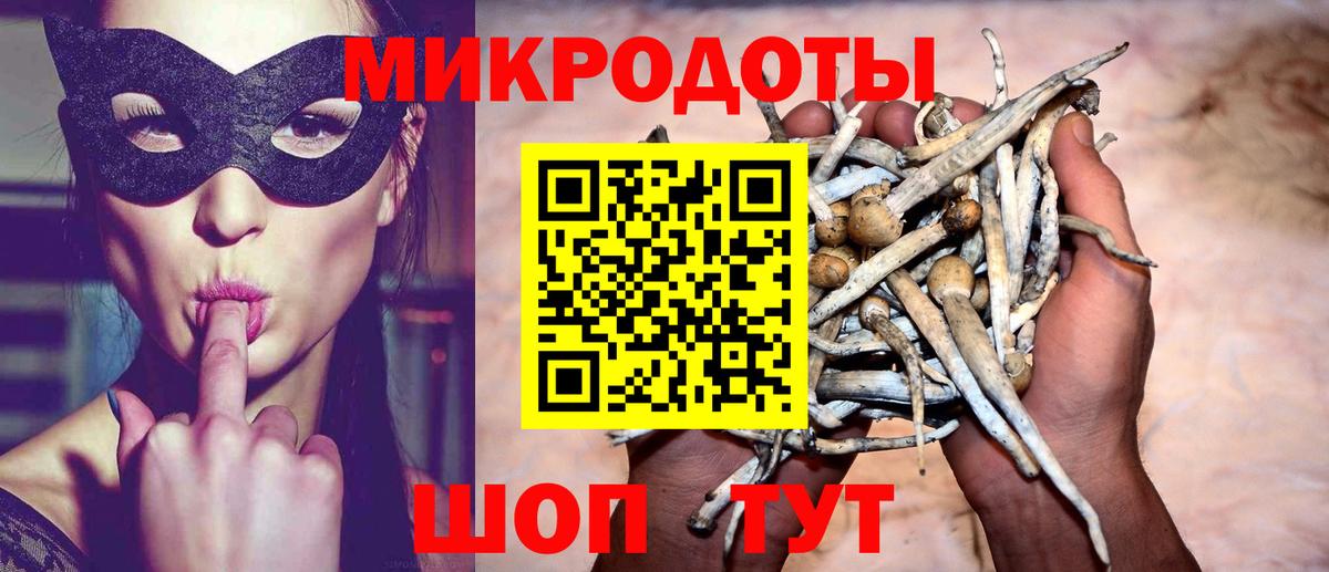 закладки  Галлюциногенные грибы ЛСД  Вход с VPN  Воркута 